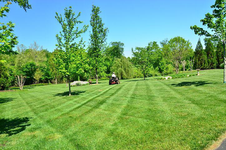 lawn-care-643557__480